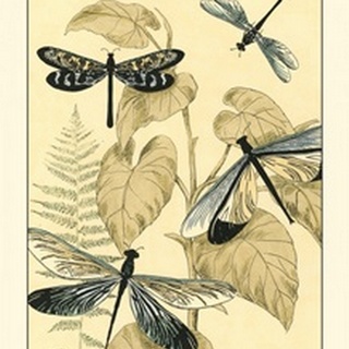 Spa Dragonflies in Nature II