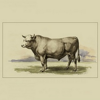 Antique Cow I