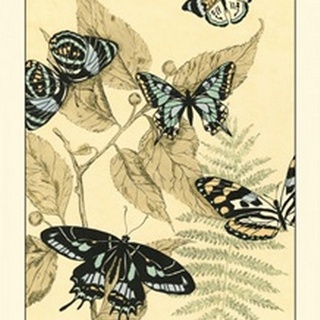 Spa Butterflies in Nature II