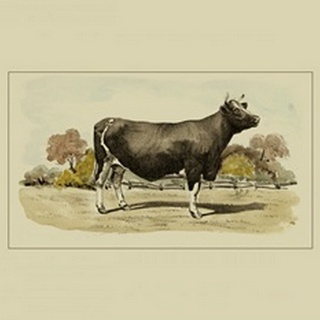 Antique Cow VI