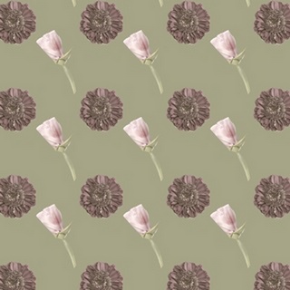 Pressed Blooms Collection I