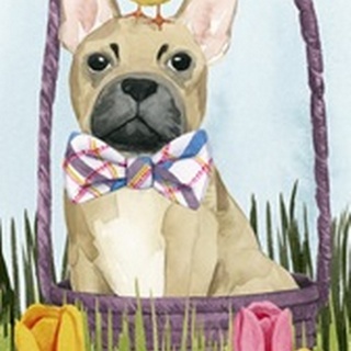 Puppy Easter Collection B