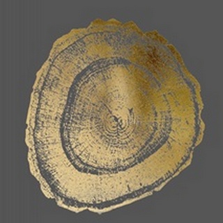 Gold Foil Tree Ring III on Dark Grey