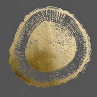 Gold Foil Tree Ring II on Dark Grey