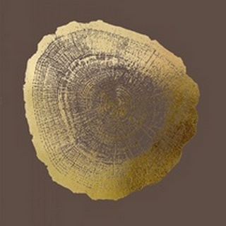Gold Foil Tree Ring IV on Bitter Chocolate