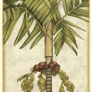 Graphic Palms II