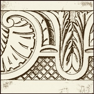Sepia Detail I