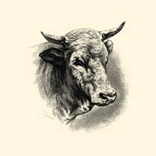 Antique Cattle II