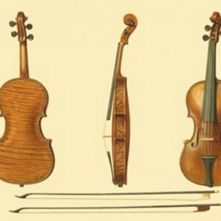 Antique Violins II