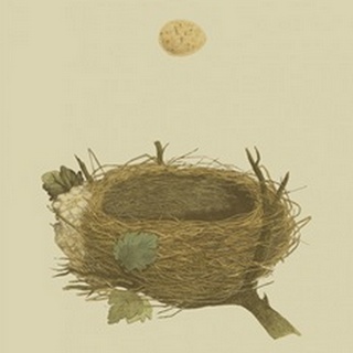 Antique Nest and Egg II
