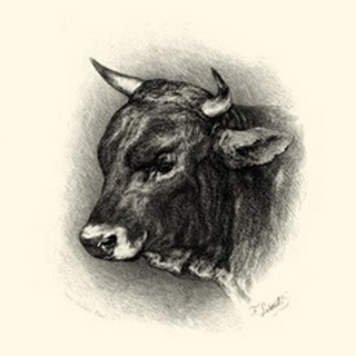 Antique Cattle IV