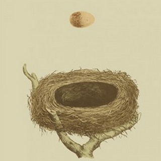Antique Nest and Egg III