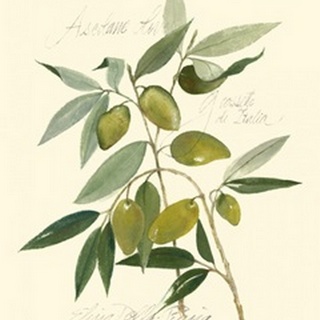 Ascolane Olives