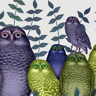 Electric Owls, Purple and Lime