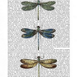 Dragonflies Print 1