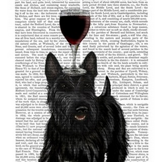 Dog Au Vin, Scottish Terrier