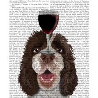 Dog Au Vin, Springer Spaniel