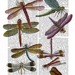 Dragonfly Print 3