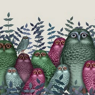 Electric Owls, Pink and Green