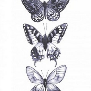 Monochrome Butterflies I