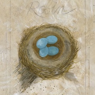 Nest - Robin