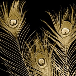 Plumes D'or I