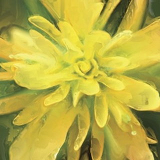Painterly Flower VII