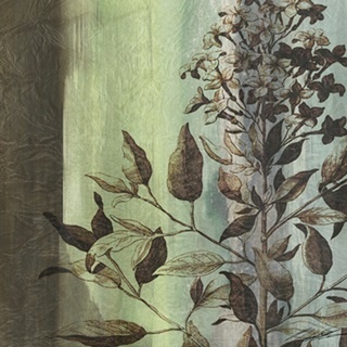 Painted Botanical IV