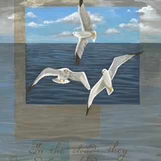 Three White Gulls II