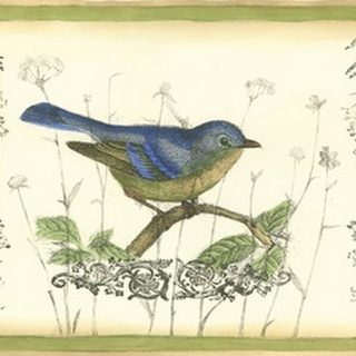 Bird and Wildflowers II