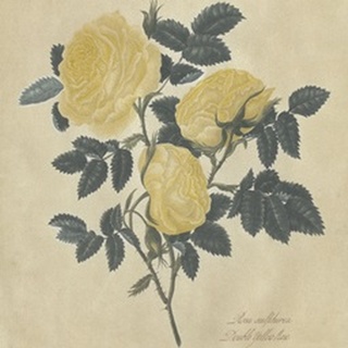 Embellished Double Yellow Rose