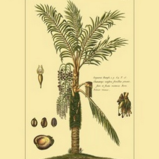 Printed Exotic Palm VI