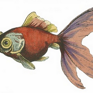 Oriental Fish II