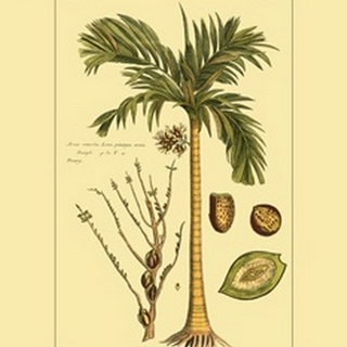 Printed Exotic Palm V