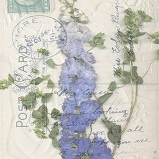 Non-Embshd. Postcard Wildflowers II