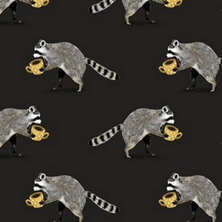 Rascally Raccoon Collection I