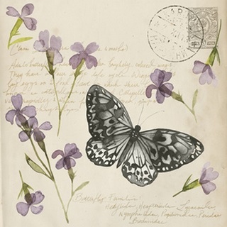 Pressed Flowers Collection A