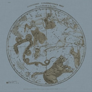 Northern Circumpolar Map