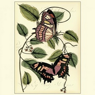 Petite Butterflies IV