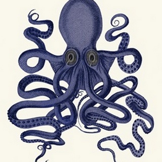 Octopus 9, Blue