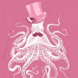 Octopus White on Pink a