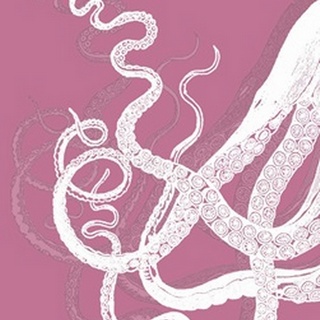 Octopus Tentacles White On Pink