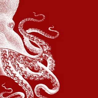 Octopus Red and White b