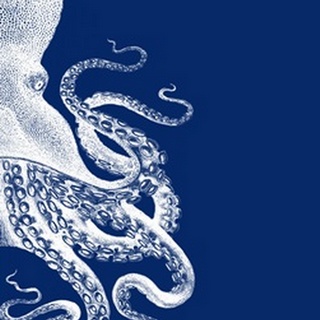 Octopus Navy Blue and Cream b