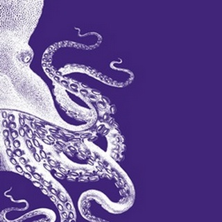 Octopus Purple and Cream b