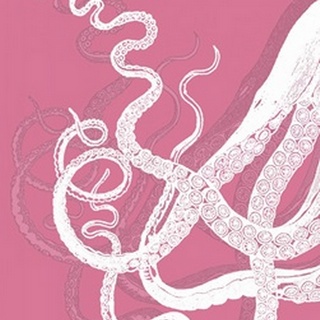 Octopus White on Pink b