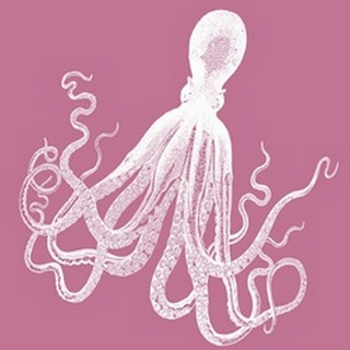 Octopus 1 White on Pink