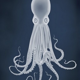 Octopus 8, White on Blue
