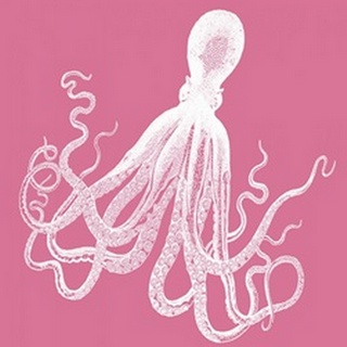 Octopus White on Pink d