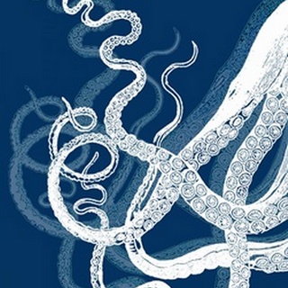 Octopus Tentacles Blue And White